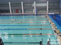 -奥林匹克体育中心游泳跳水中心