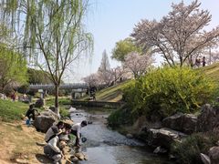 -羊山湖公园