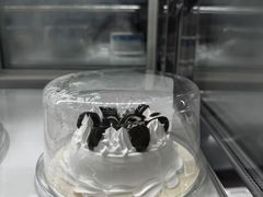 -DQ·蛋糕·冰淇淋(三亚青春颂店)