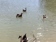 -广州白江湖森林公园