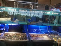 水产区-喜庭海鲜自助(来福士店)