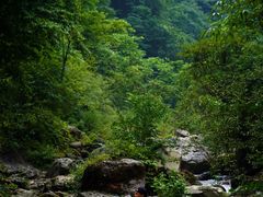 -西岭雪山大飞水景区