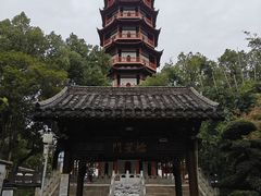 -绳金塔