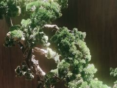 -喜湘宴·精致湖南菜(和平西桥店)