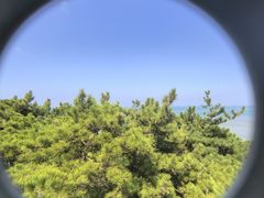-摩天岭风景区