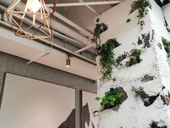 -农畉LONFOOD(福田星河COCOPark店)