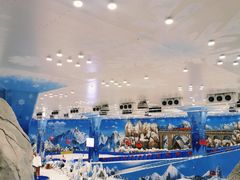 -湘江欢乐城欢乐雪域