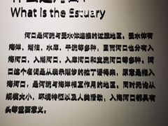 -上海长江河口科技馆