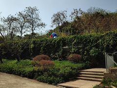 -佛山华盖山公园