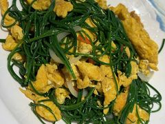 沙葱炒鸡蛋-新疆巴州金丝特餐厅(大钟寺店)