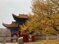 -遵化市禅林寺古银杏风景园