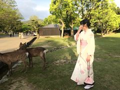 -枫雅和服体验(奈良店)