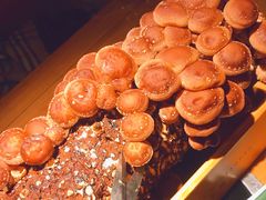 -大头椰·椰子鸡火锅(新梦店)