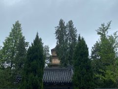 -兴教寺