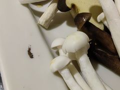 -老版火锅.12年西安排队王(沣峪口店)