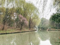 -同里国家湿地公园