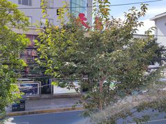 -天福苑(崇宁路店)