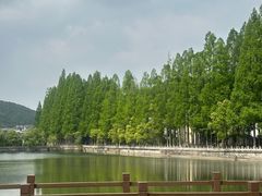 -黄贤森林公园