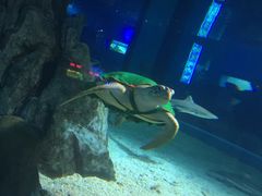 -常州海昌海洋探索馆