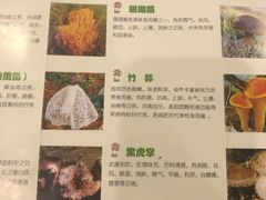 -太婆天府山珍酒楼(亚运村店)