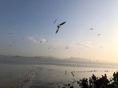 -深圳湾公园(南山区)