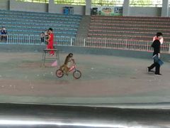 -石家庄市动物园