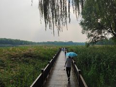 -北京麋鹿生态实验中心