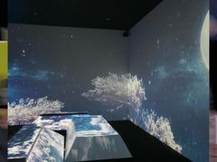 -火影忍者动画多媒体展