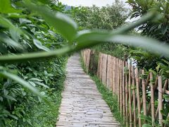 -贵阳市花溪国家城市湿地公园