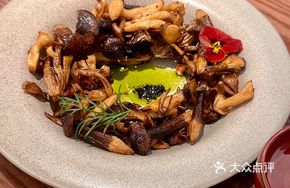 Black Truffle Sauce Wild Mushroom