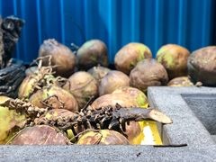 -东椰·海南椰子鸡火锅(朝阳门店)