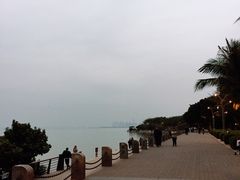 -深圳湾公园(南山区)