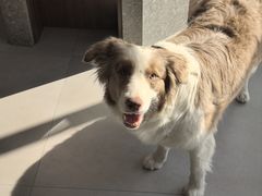 -时间抽屉(裕华万达广场店)