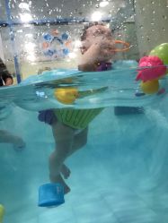 -蓝色海林婴幼儿水育馆(新辰里学清路店)