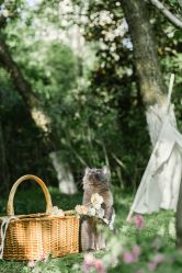 -ZOO KIDS象集摄影工作室(西城公馆店)