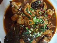 -全乐鱼馆·淳牌有机鱼直营店