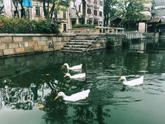 -赤坎·广东华侨国际旅游度假区