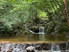 -青峰峡国家森林公园