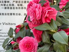 -宝通禅寺