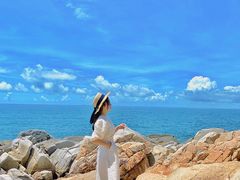 -广东惠东海龟国家级自然保护区