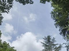 -上海佘山国家森林公园天马山园