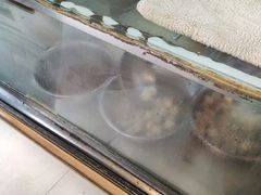 -富记鱼蛋粉(西村店)