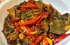 Signature Softshell Turtle