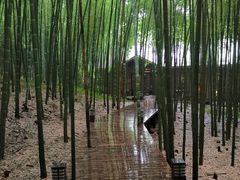 -苏州环秀晓筑养生度假村