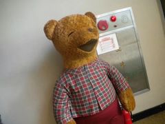 -济州岛泰迪熊博物馆