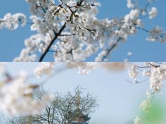 -鸡鸣寺