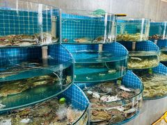 -蓝珊甄选海鲜自助·火锅大排档(近阿那亚店)