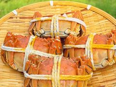 -丫丫蟹庄·苏式园林农家乐·阳澄湖大闸蟹(阳澄湖莲花岛店)