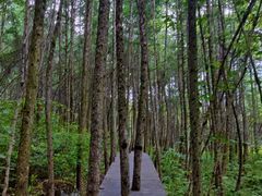 -青峰峡国家森林公园