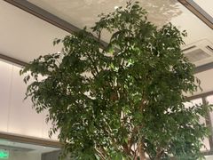 -榕意·川味之美(深业上城店)